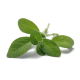 Pura Kosmetica Normal Life Sebum-regulating šampūnas Skirtas riebaluotis linkusiems plaukams ir galvos odai pH 5,00 – 6,00 250ml Pura Kosmetica Normal Life Sebum-regulating šampūnas Skirtas riebaluotis linkusiems plaukams ir galvos odai pH 5,00 – 6,00 250ml